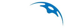 Bluberi