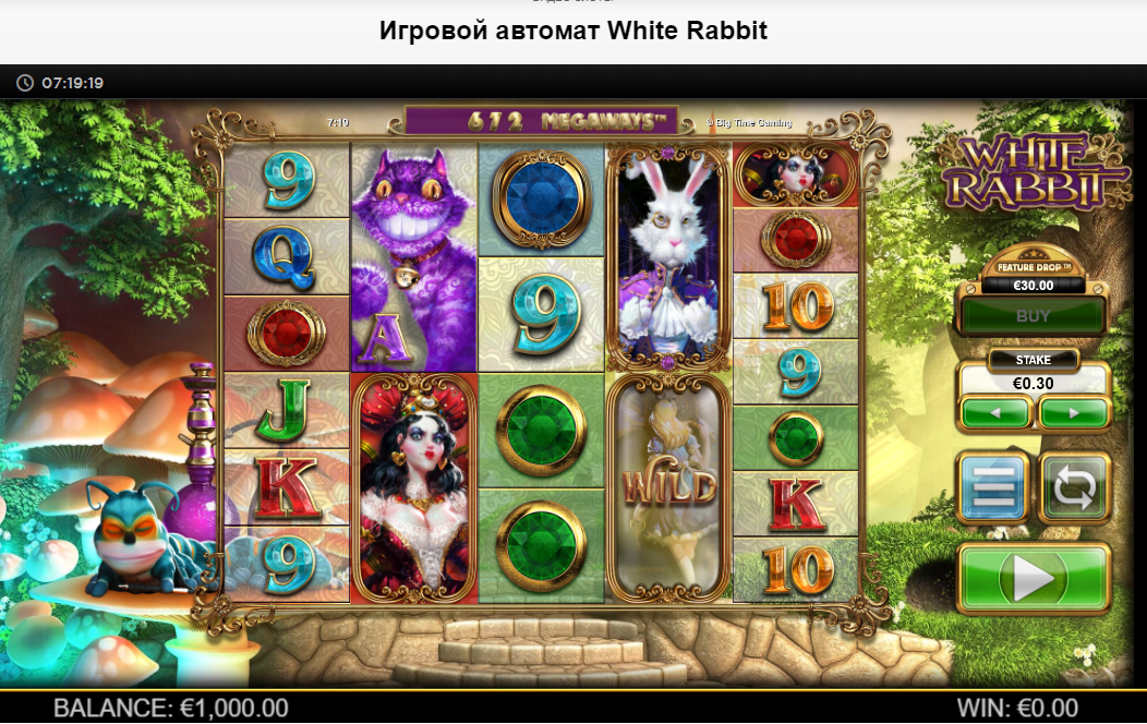White Rabbit