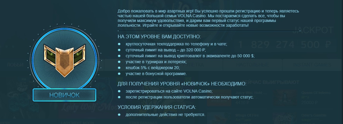 Программа лояльности