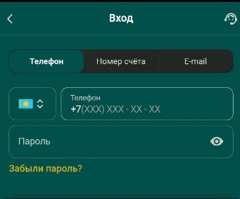 Шаг 3 Запуск программы с мобильного устройства 