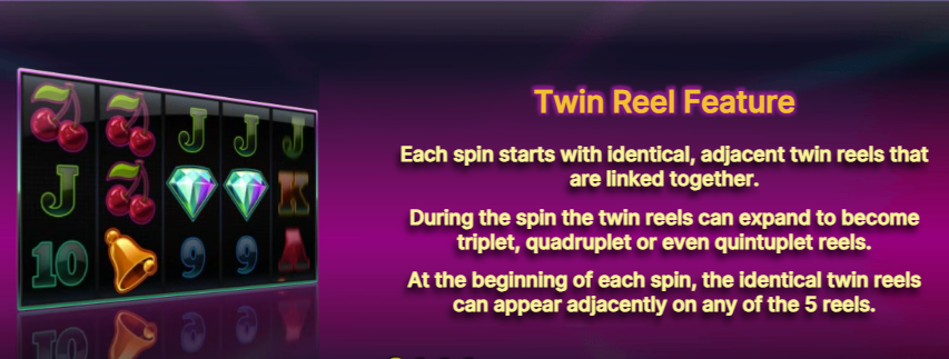 Twin Spin
