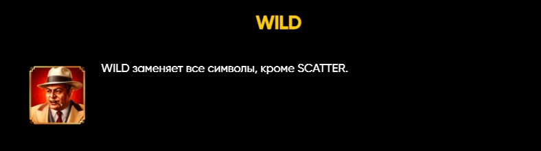 Специальный символ в слоте Windy City 
