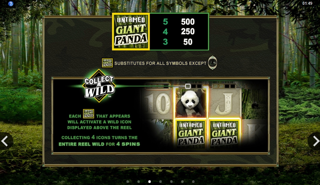 Специальный символ в слоте Untamed Giant Panda