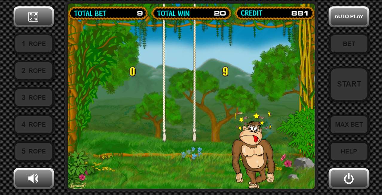 Crazy Monkey