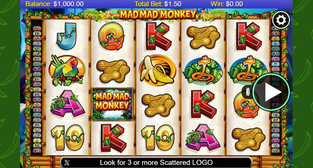 Интерфейс слота Mad Mad Monkey