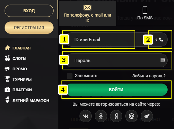 Вход через почту, ID и телефон