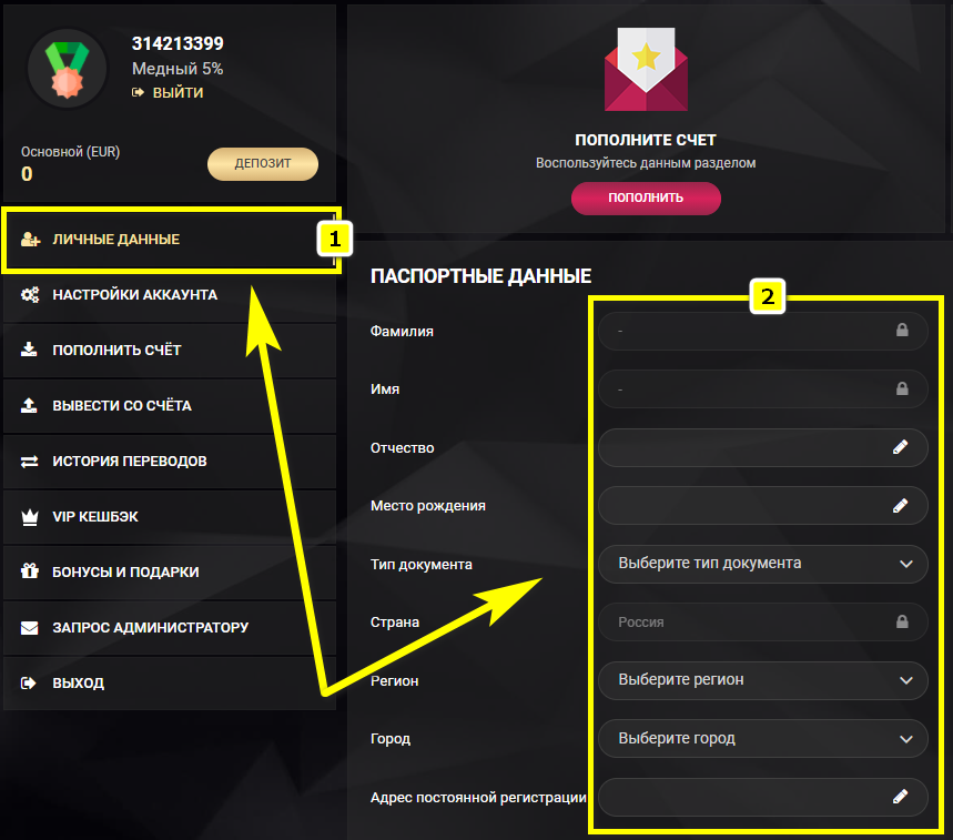 Форма с паспортными данными