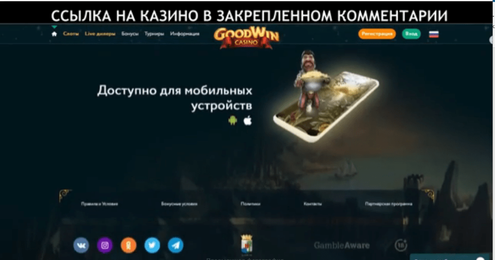 GoodWin моби