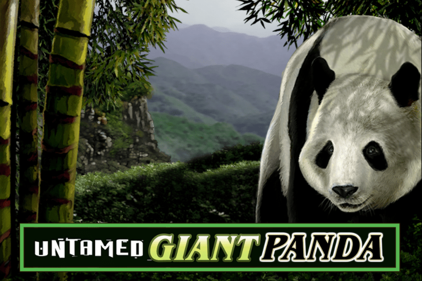 Untamed Giant Panda