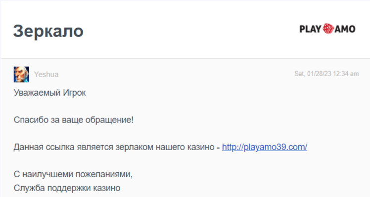Техподдержка Playamo