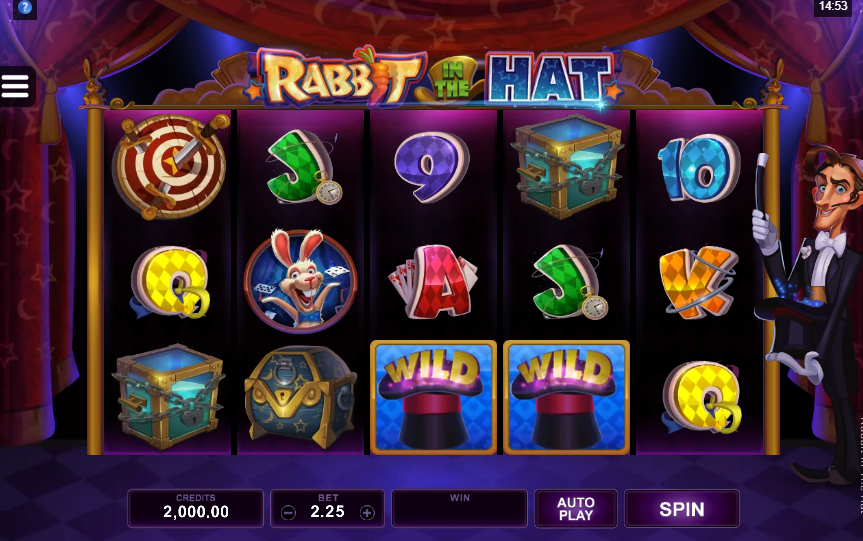 rabbit in the hat