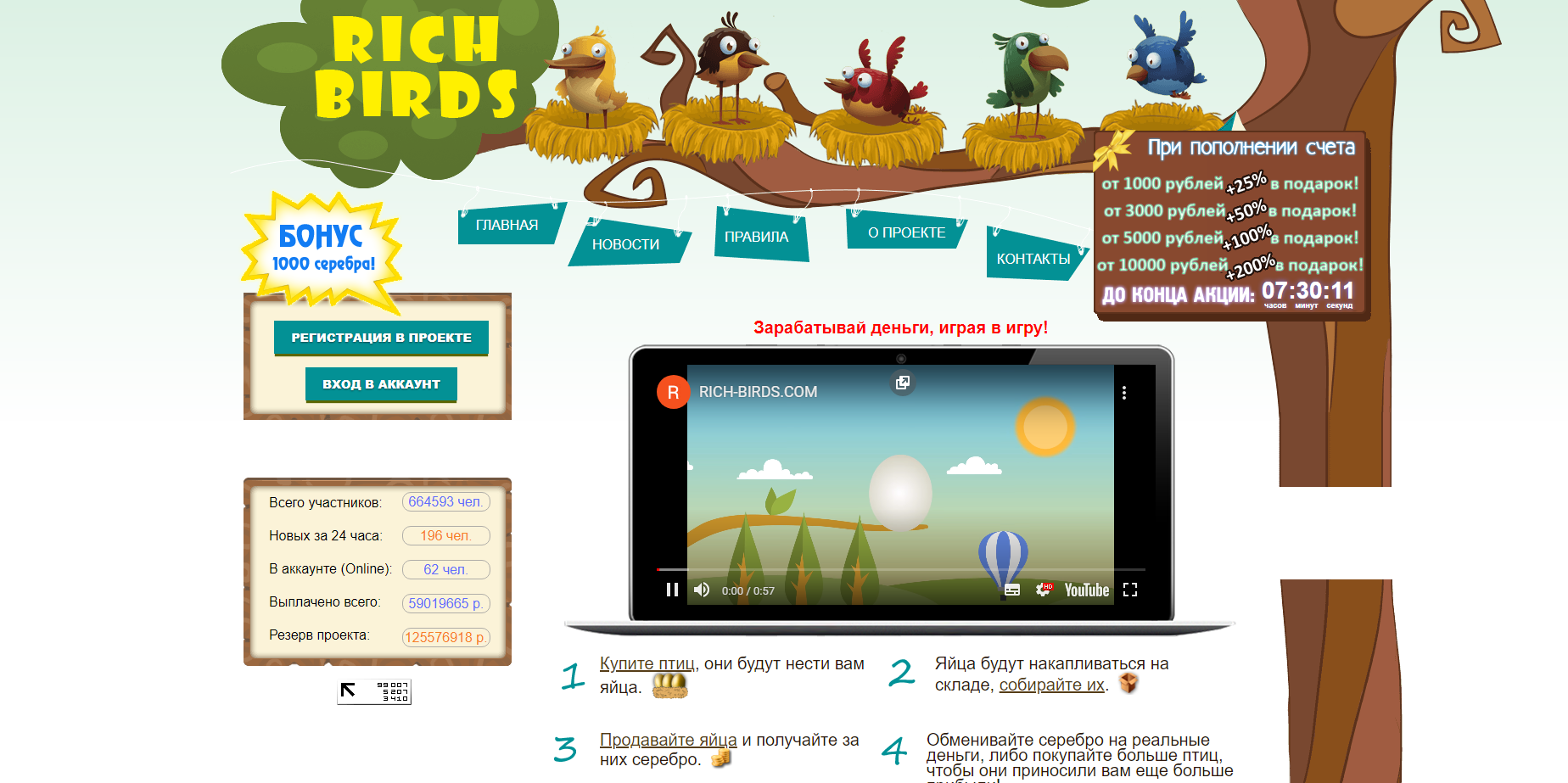 Знакомство с проектом Rich Birds