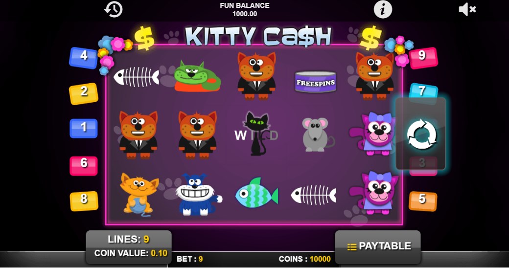 Kitty Cash