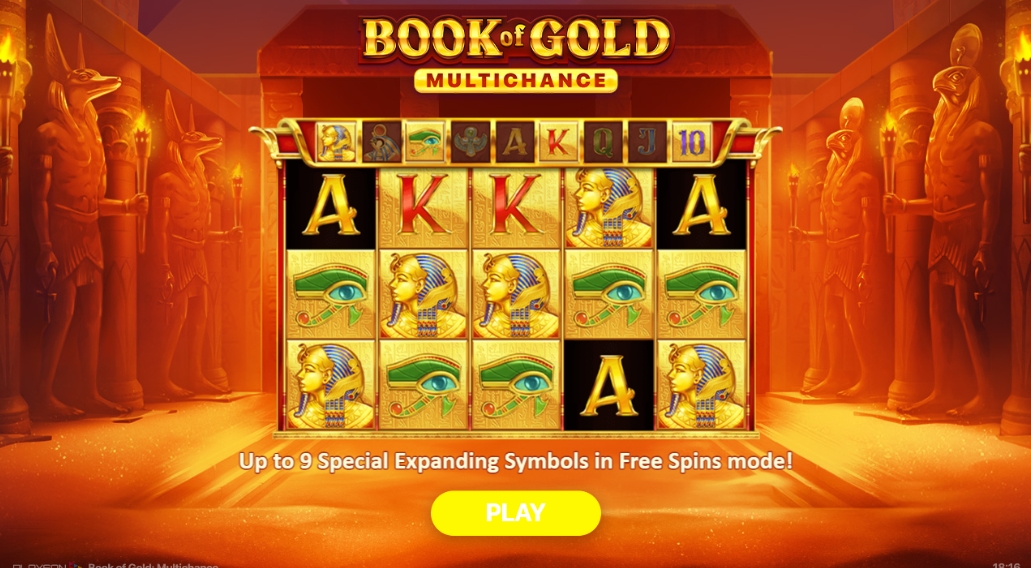 Интерфейс слота Book of Gold: Multichance