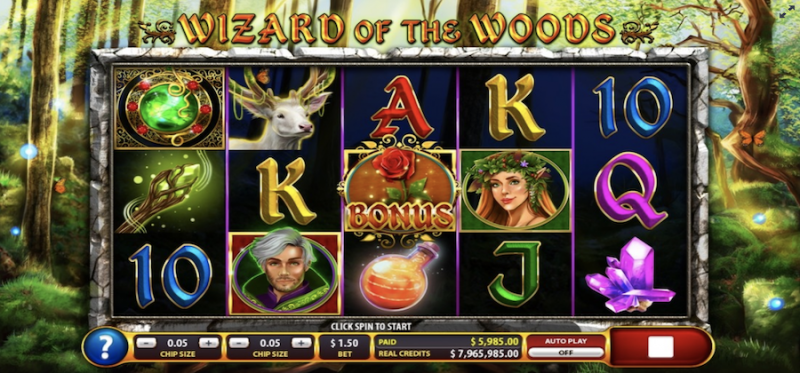 Wizard of the Woods