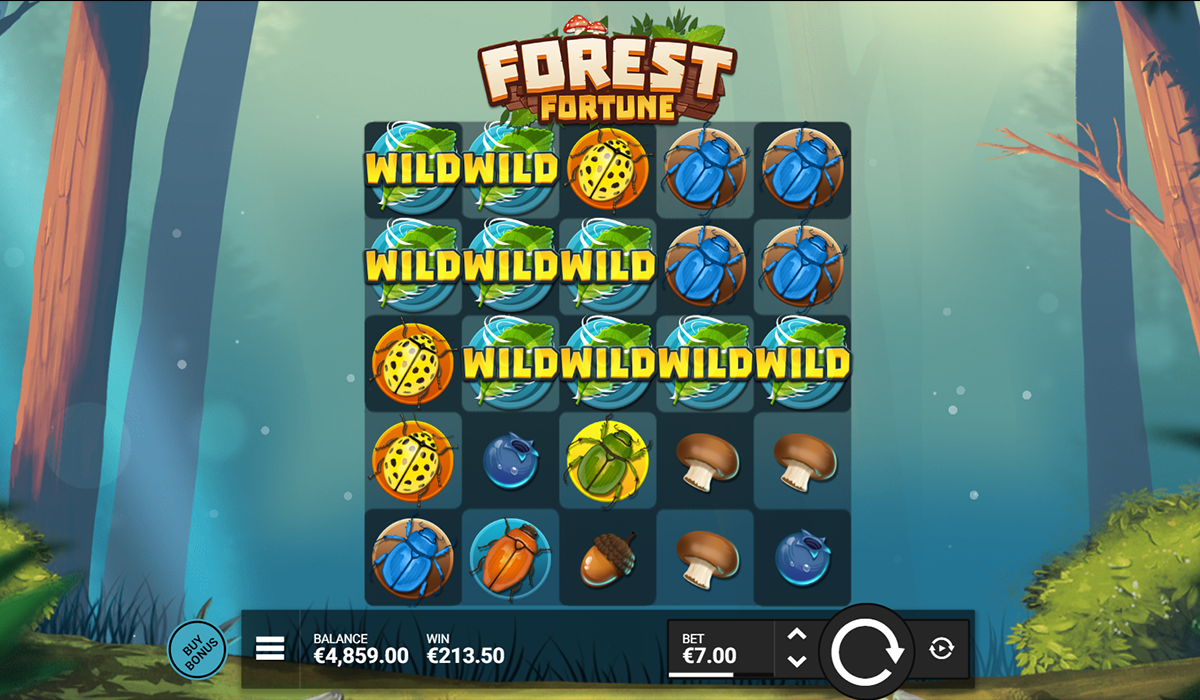 Forest Fortune 1