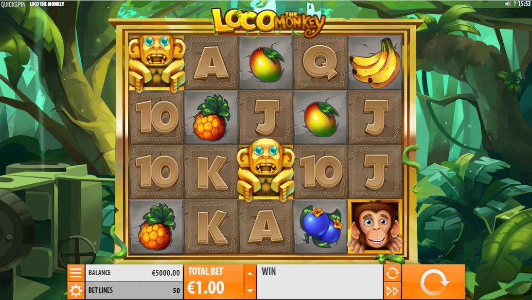 Loco The Monkey