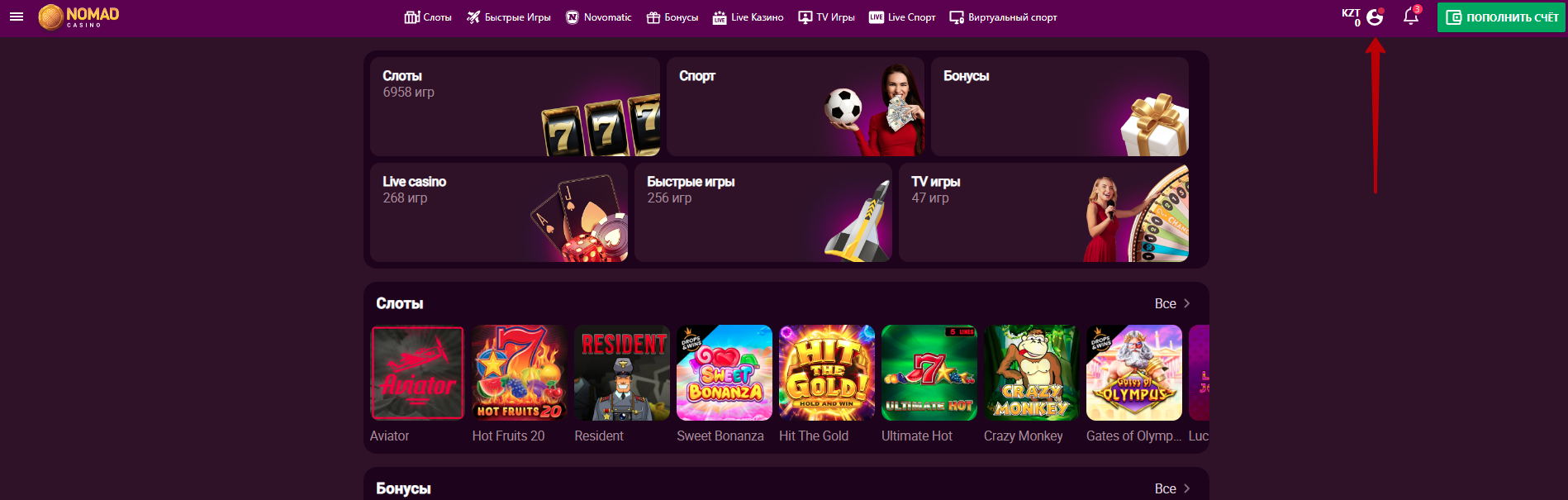 Иконка личного профиля на сайте Nomad Casino