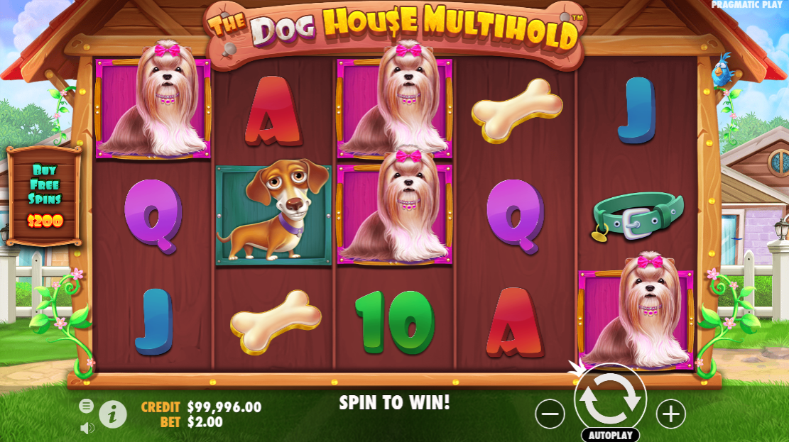 Слот недели — The Dog House Multihold от Pragmatic Play
