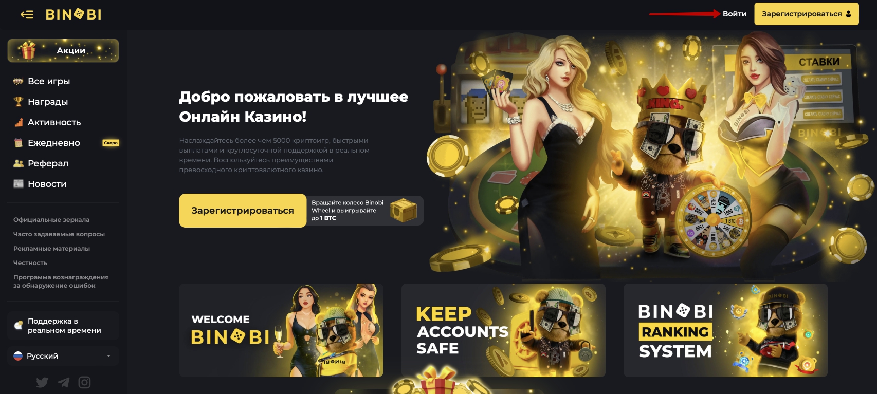 Авторизация на сайте Binobi