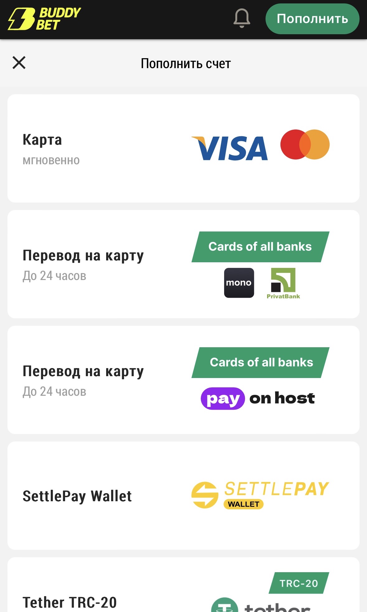Методы пополнения счета в мобильном приложении Buddy Bet Casino