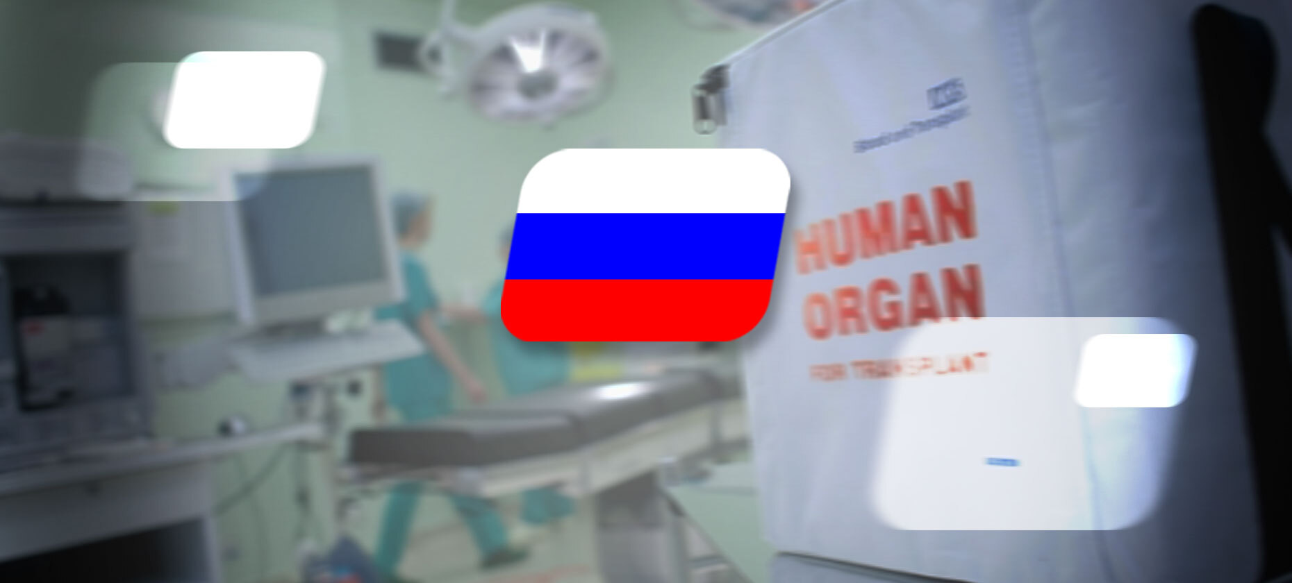 В РФ осужденной за нелегальные азартные игры женщине предлагали продать почку