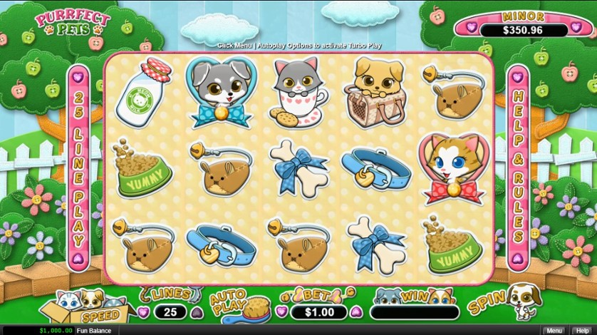 Purrfect Pets Real Time Gaming