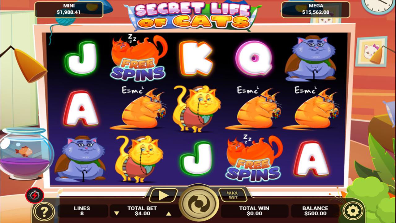 Secret Life Of Cats Arrows Edge