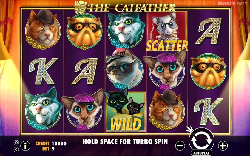 Catfather Pragmaitc Play