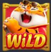 Fortune Tiger